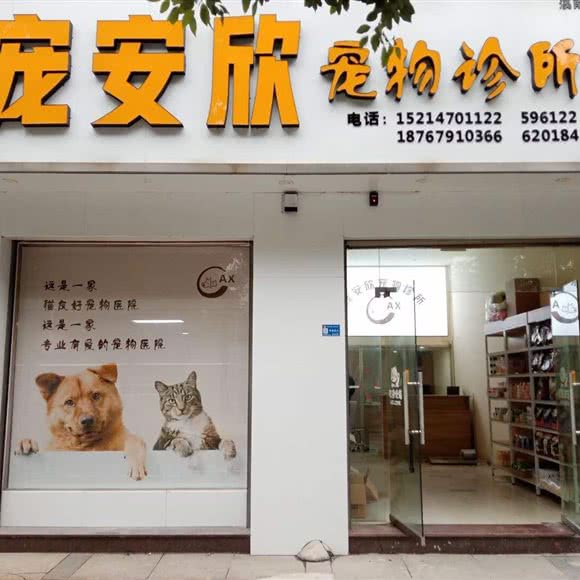 宠安欣宠物诊所:金华市武义县