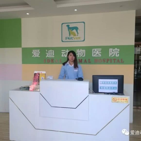 爱迪动物医院:晋中市榆次区榆次区附近