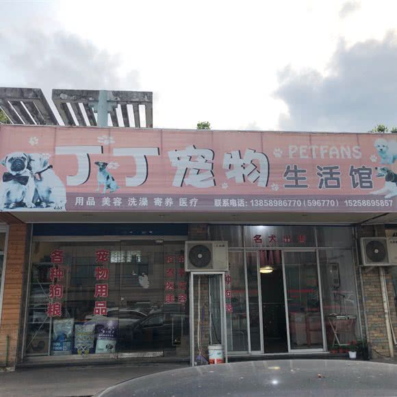 丁丁宠物狗生活馆:金华市兰溪市