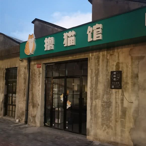 撸猫馆:金华市兰溪市