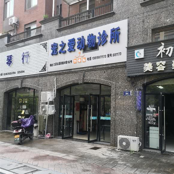 宠之爱:金华市兰溪市