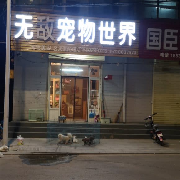 无敌宠物世界:晋中市太谷区太谷区附近