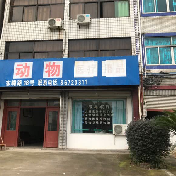 动物医疗用品:金华市东阳市
