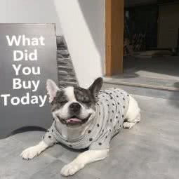 小宇宙宠物生活馆:金华市永康市