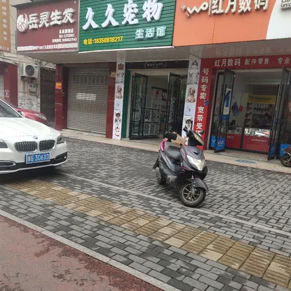 久久宠物生活馆:金华市永康市