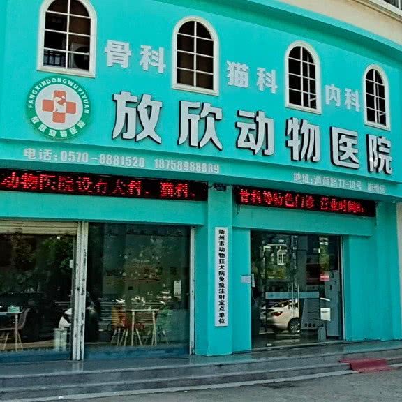 放欣动物医院(衢州店):衢州市柯城区