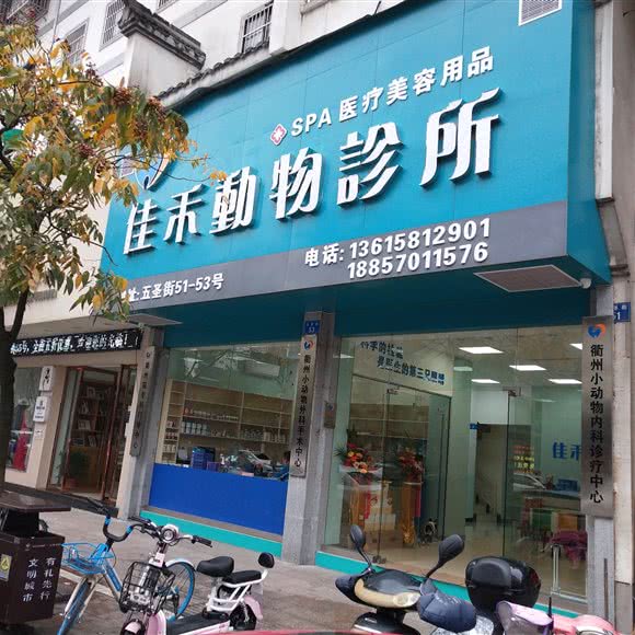 佳禾动物诊所:衢州市柯城区