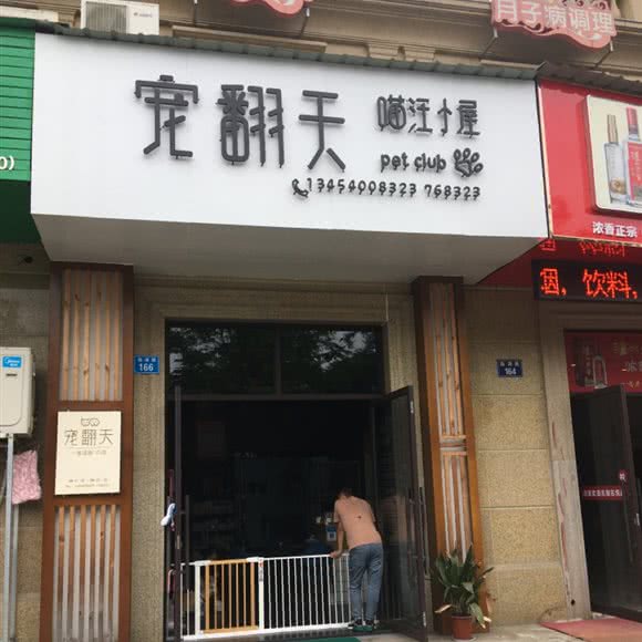宠翻天喵汪小屋:衢州市开化县