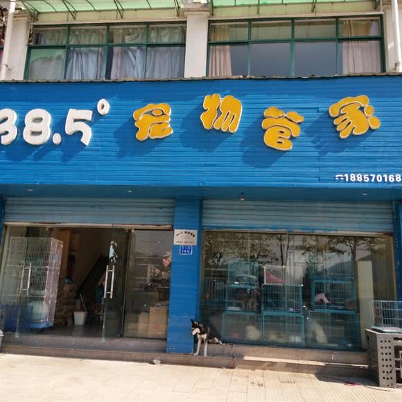 38.5°宠物管家:衢州市开化县