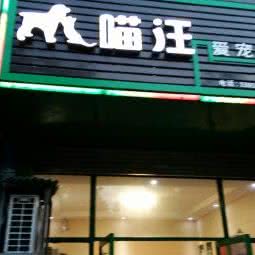 喵汪爱宠集结地:衢州市江山市