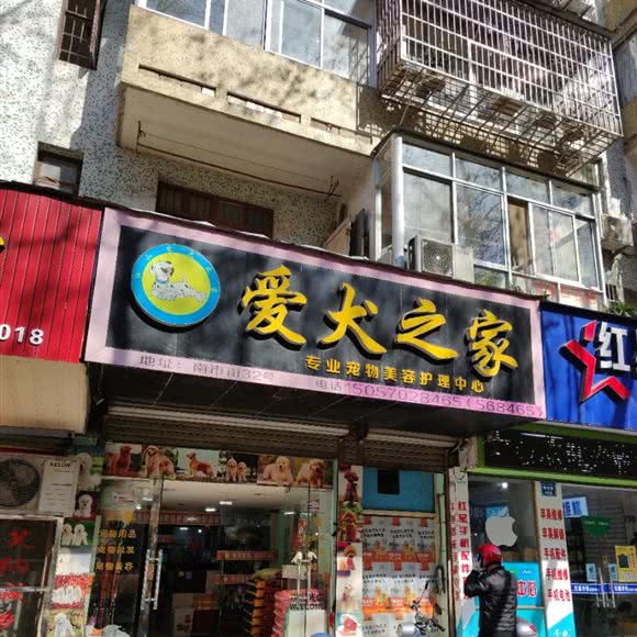 爱犬之家:衢州市江山市