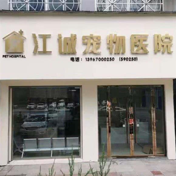 江城宠物医院:衢州市江山市