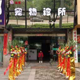 诺宝宠物诊所:衢州市江山市