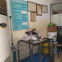 江山倍特宠物诊所:衢州市江山市