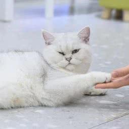 Dear zoo 动物科普教育基地:舟山市定海区