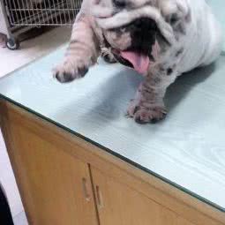 云芮宠物生活馆:舟山市定海区