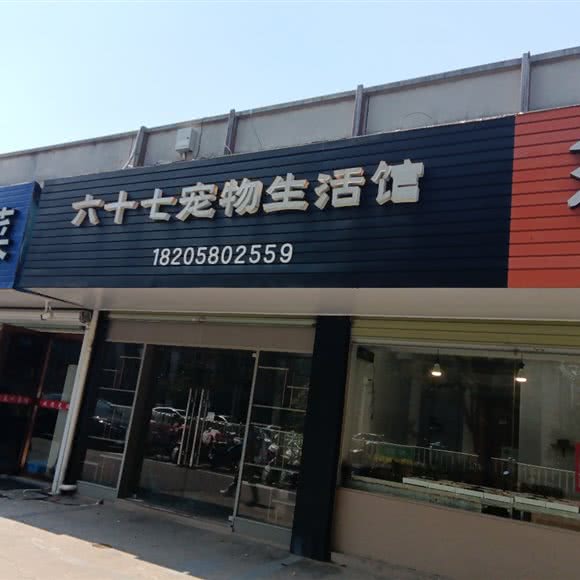 六十七宠物生活馆:舟山市定海区