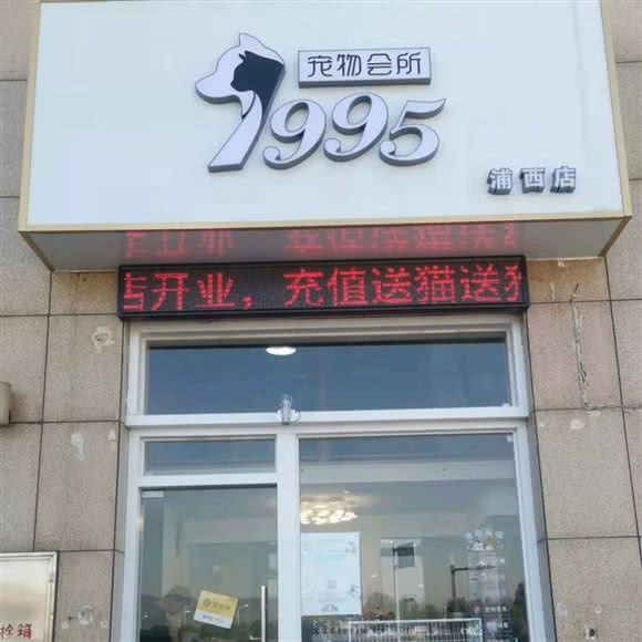 1995宠物会所(浦西店):舟山市普陀区