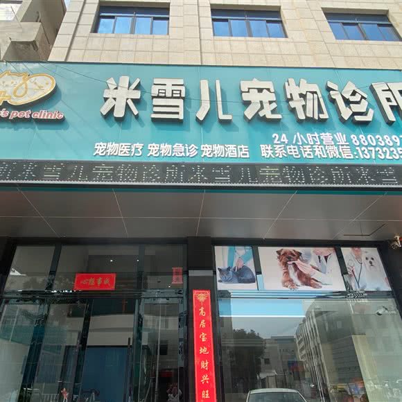 米雪儿宠物诊所(洪家店):台州市椒江区