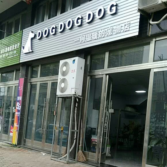 DOG DOG DOG咖啡店:台州市路桥区