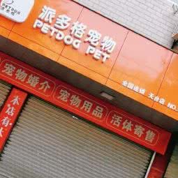 派多格宠物(天台店):台州市天台县