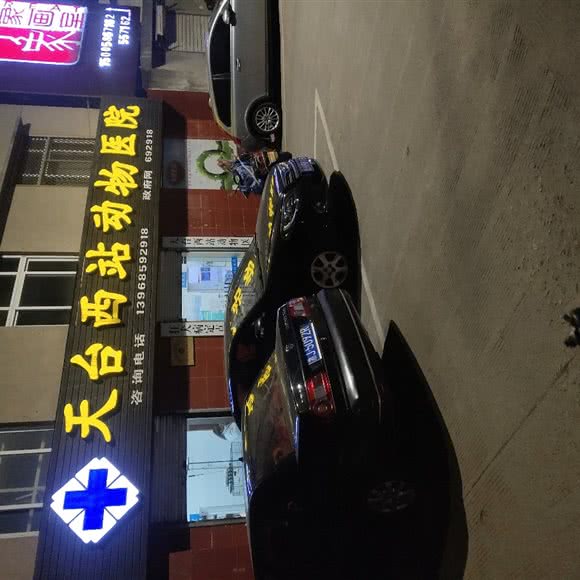 天台西站动物医院:台州市天台县