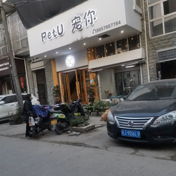 PetU宠你:台州市仙居县