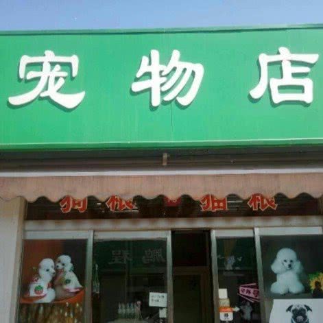 Nu宠物美容·寄养:台州市温岭市