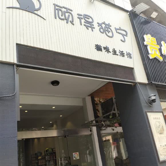 顾得猫宁小猫生活馆:台州市温岭市