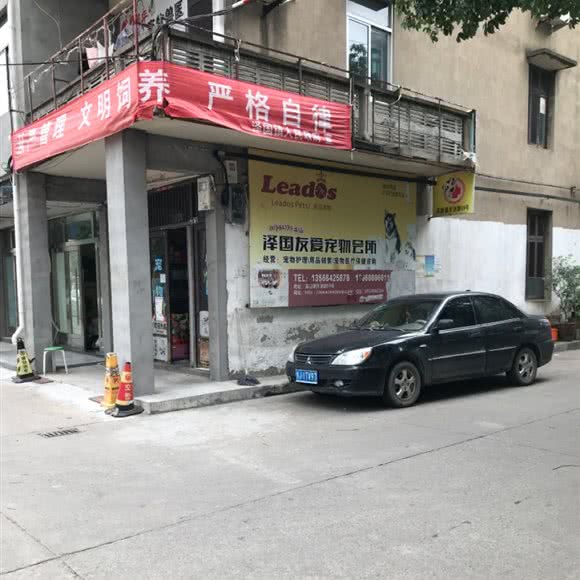 泽国友爱宠物会所:台州市温岭市