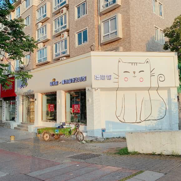 猫宫殿·福娃猫咪生活馆:台州市温岭市