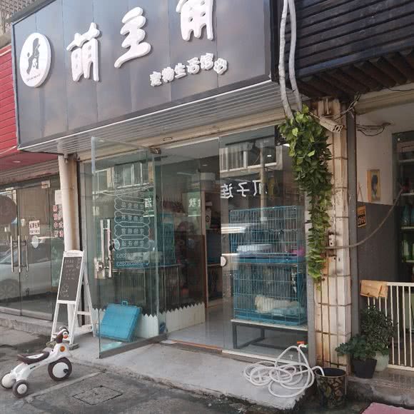 萌主角:台州市临海市