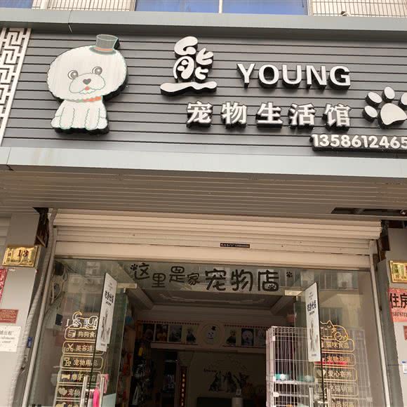 熊young宠物生活馆:台州市临海市