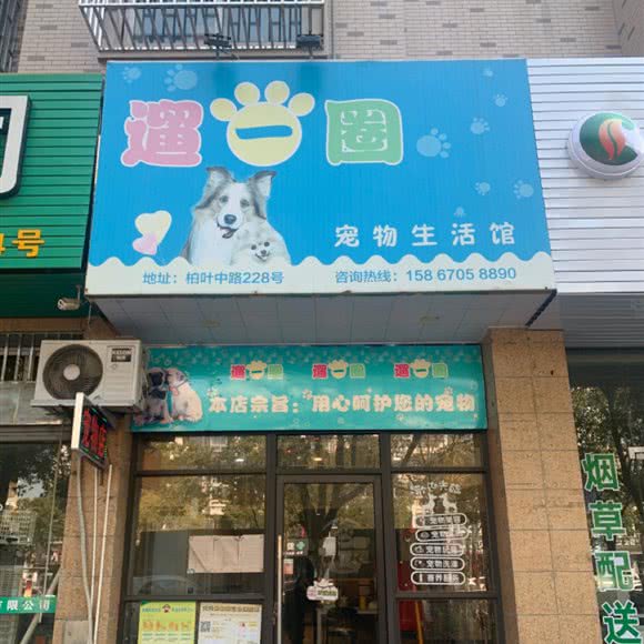 遛一圈宠物生活馆:台州市临海市