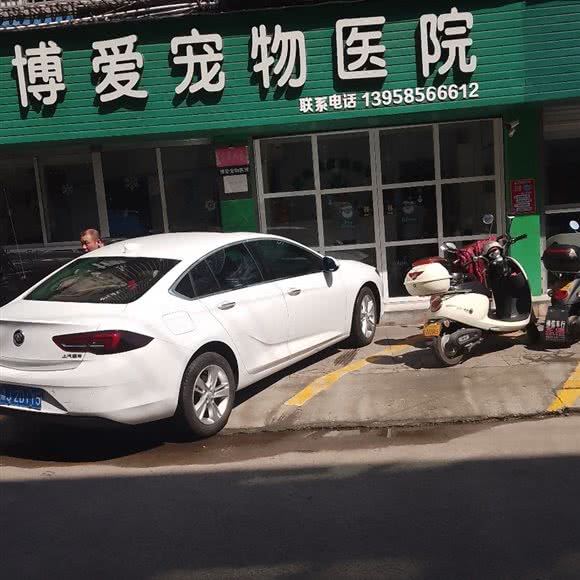 博爱宠物医院:台州市临海市