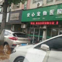 爱心宠物医院(下桥路店):台州市临海市