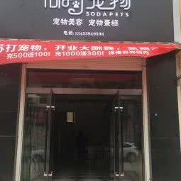 苏打宠物:运城市盐湖区北郊附近
