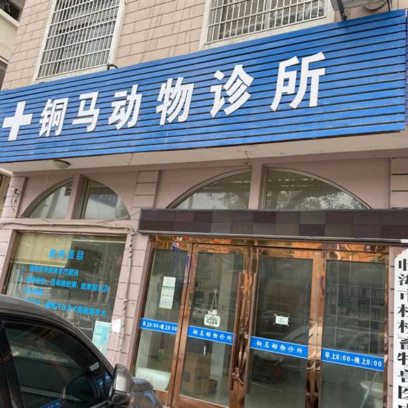 铜马动物诊所:台州市临海市