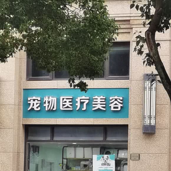 宠物医疗美容:台州市玉环市
