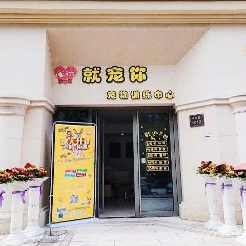 就宠你宠物训练服务中心:丽水市莲都区