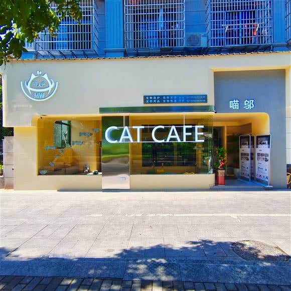 喵邬猫咖:丽水市莲都区
