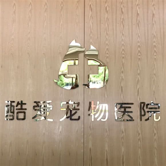 酷爱宠物医院:丽水市莲都区