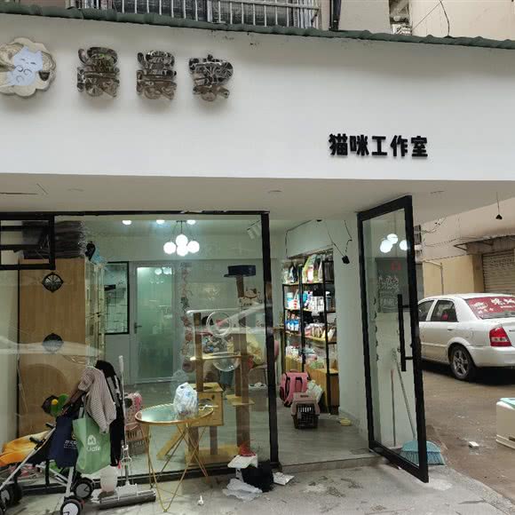 晨晨家猫咪工作室:丽水市青田县