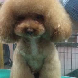 宠爱有家:丽水市缙云县