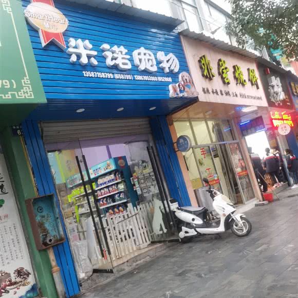 慧心米诺宠物:丽水市缙云县
