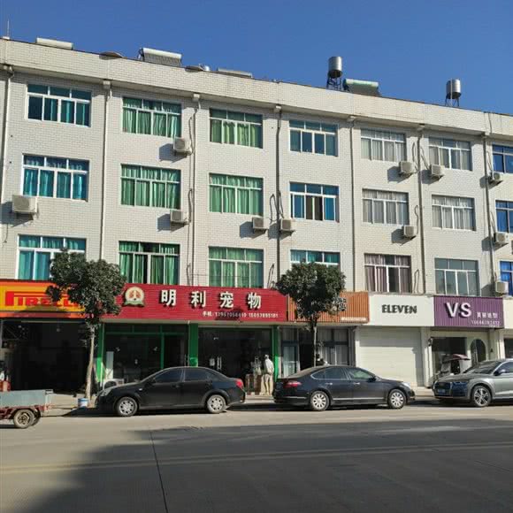 明利宠物:丽水市缙云县