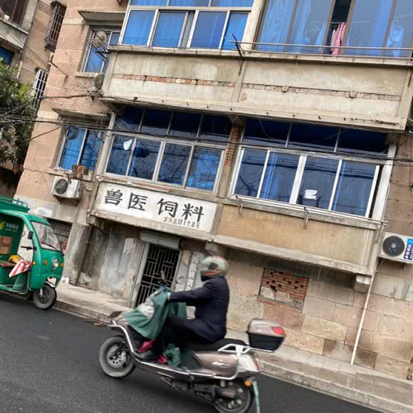 缙云县五云镇畜牧兽医站:丽水市缙云县