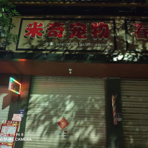 米奇宠物:丽水市遂昌县