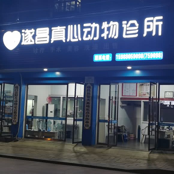 真心动物诊所:丽水市遂昌县