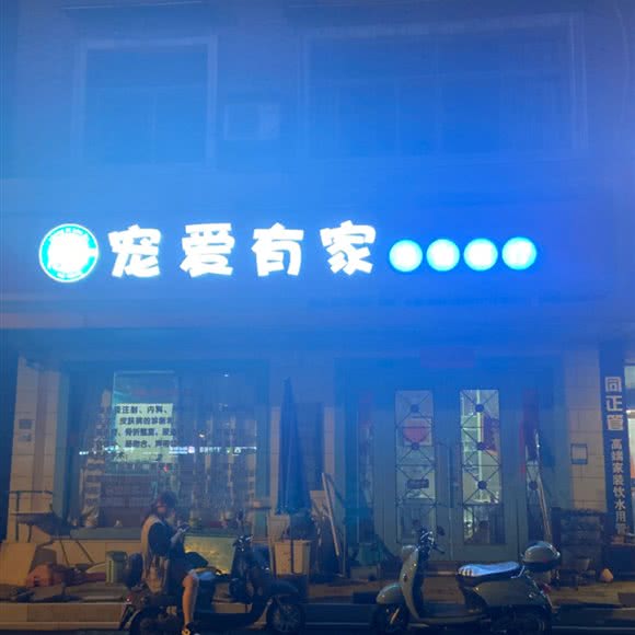 宠爱有家宠物医疗:丽水市遂昌县